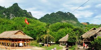 tour mai chau tet