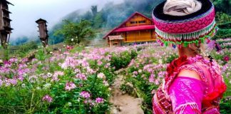 tour sapa