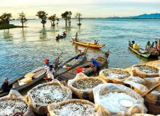 Khám phá top 7 địa điểm du lịch miền Tây mùa hè gây thương nhớ Khám phá top 7 địa điểm du lịch miền Tây mùa hè gây thương nhớ