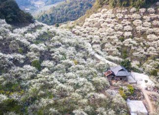 6 địa điểm ở Mộc Châu đẹp mê mẩn lòng người 6 địa điểm ở Mộc Châu đẹp mê mẩn lòng người